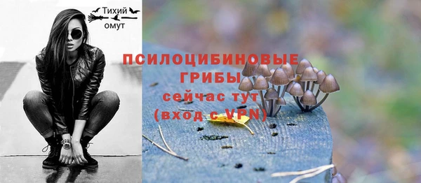 первитин Армянск