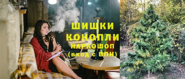 спайс Арсеньев