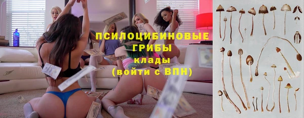 первитин Армянск