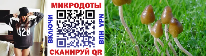 Псилоцибиновые грибы мухоморы Купить Зубцов